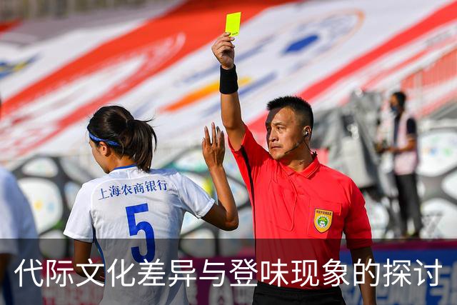 代际文化差异与登味现象的探讨