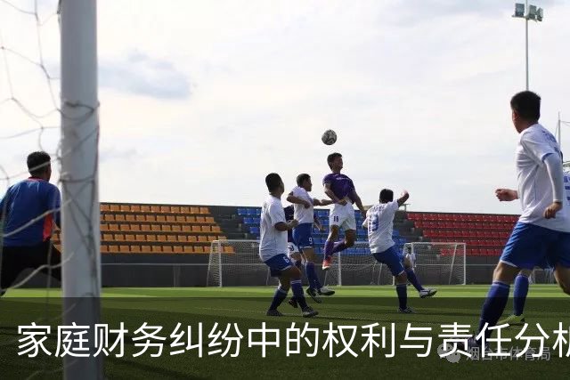 家庭财务纠纷中的权利与责任分析